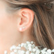 Elsa Lee Paris - Pink 6mm pearl earrings in silver 925 with rhodium coating